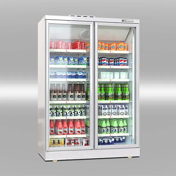 Luxury Remote Showcase Cooler view 5
